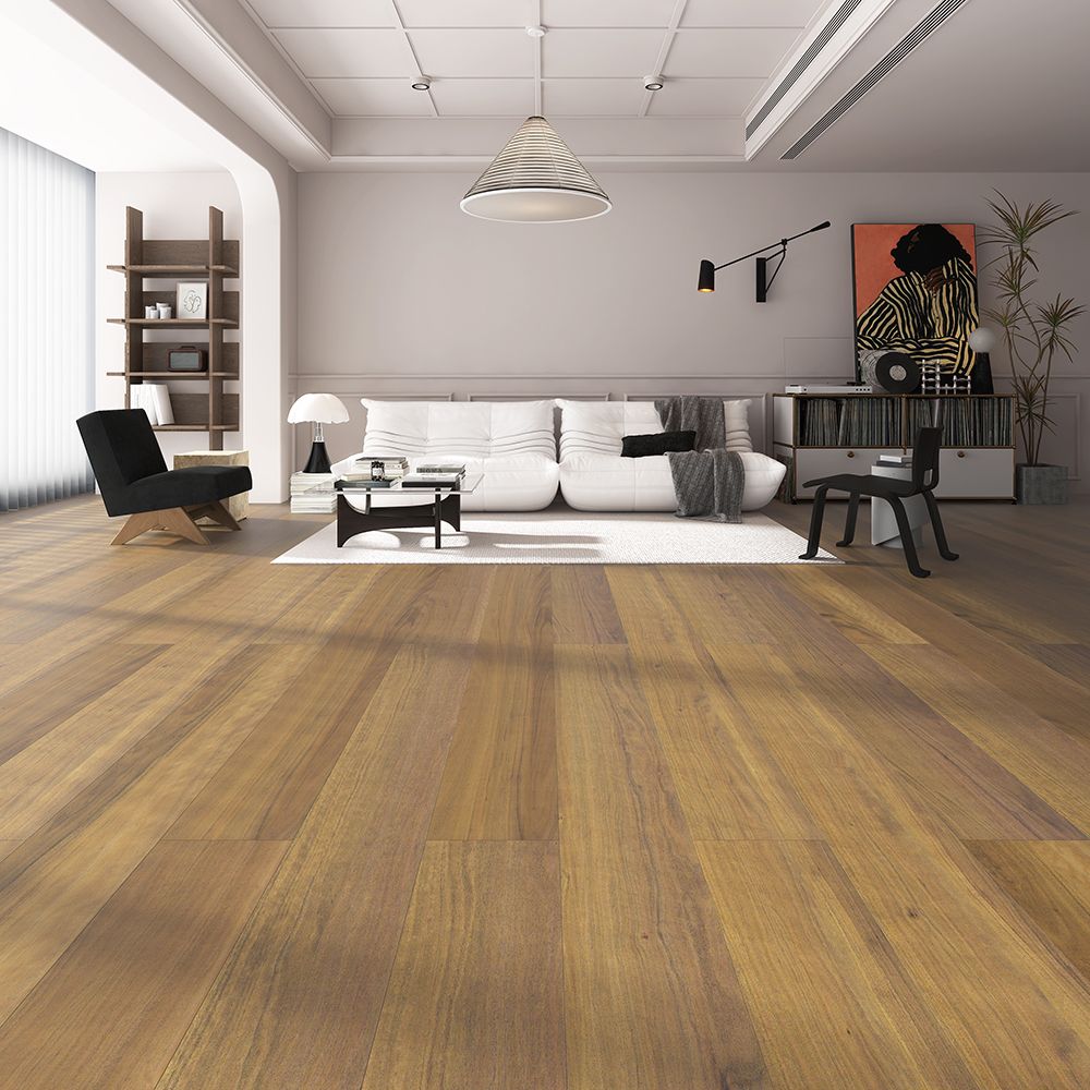 Adorn QLD SPOTTED GUM
