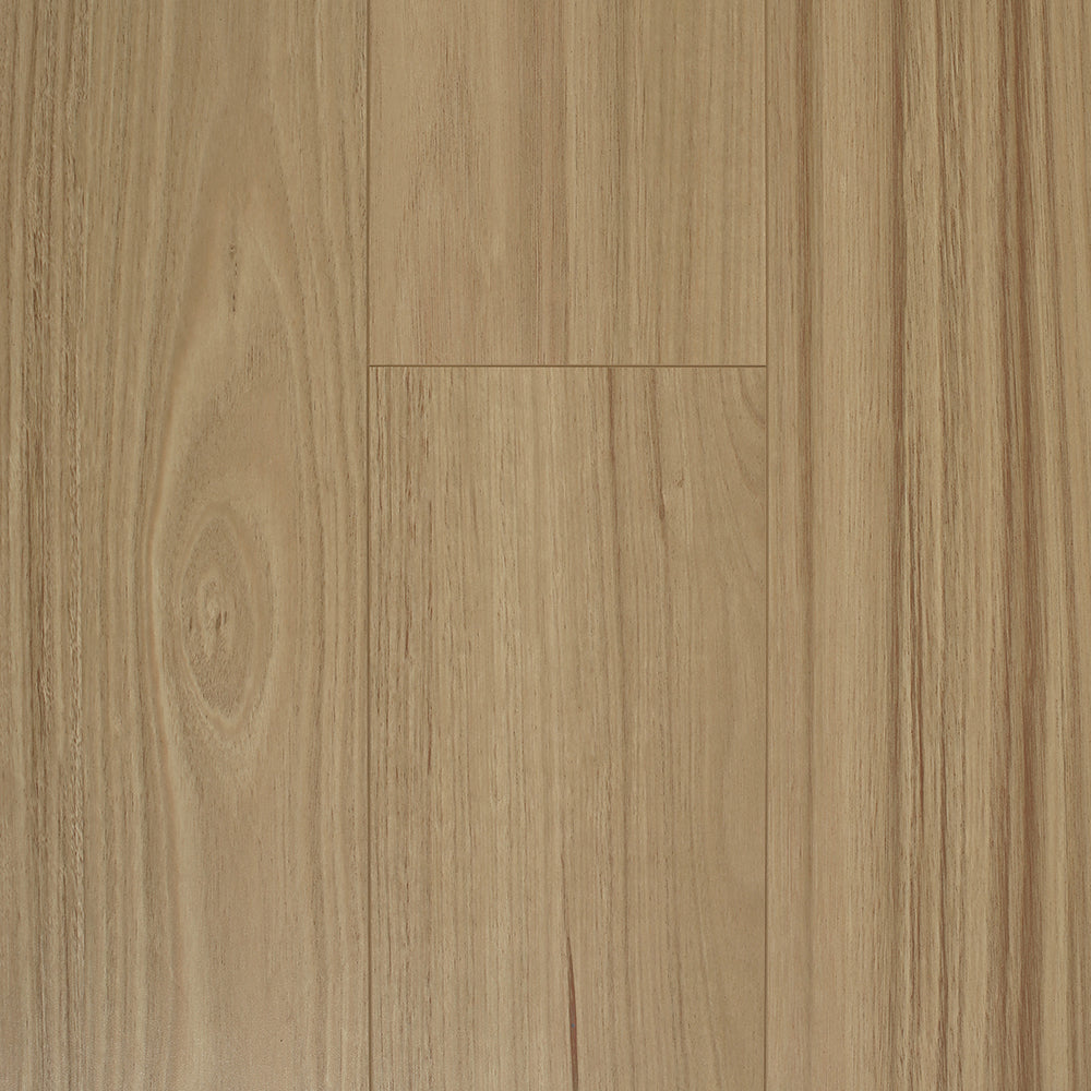 Adorn COASTAL BLACKBUTT