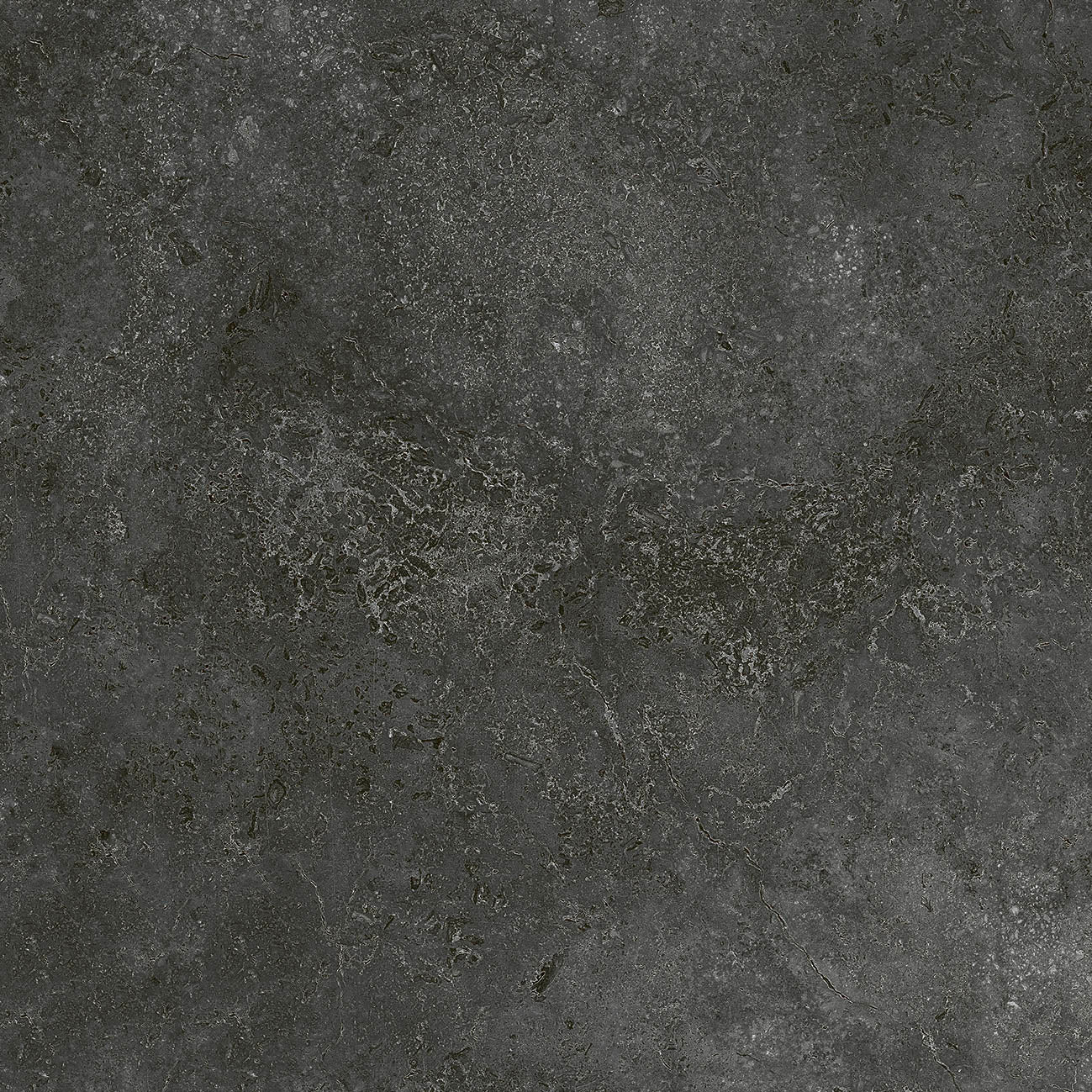 NEWPORT CHARCOAL - MATT