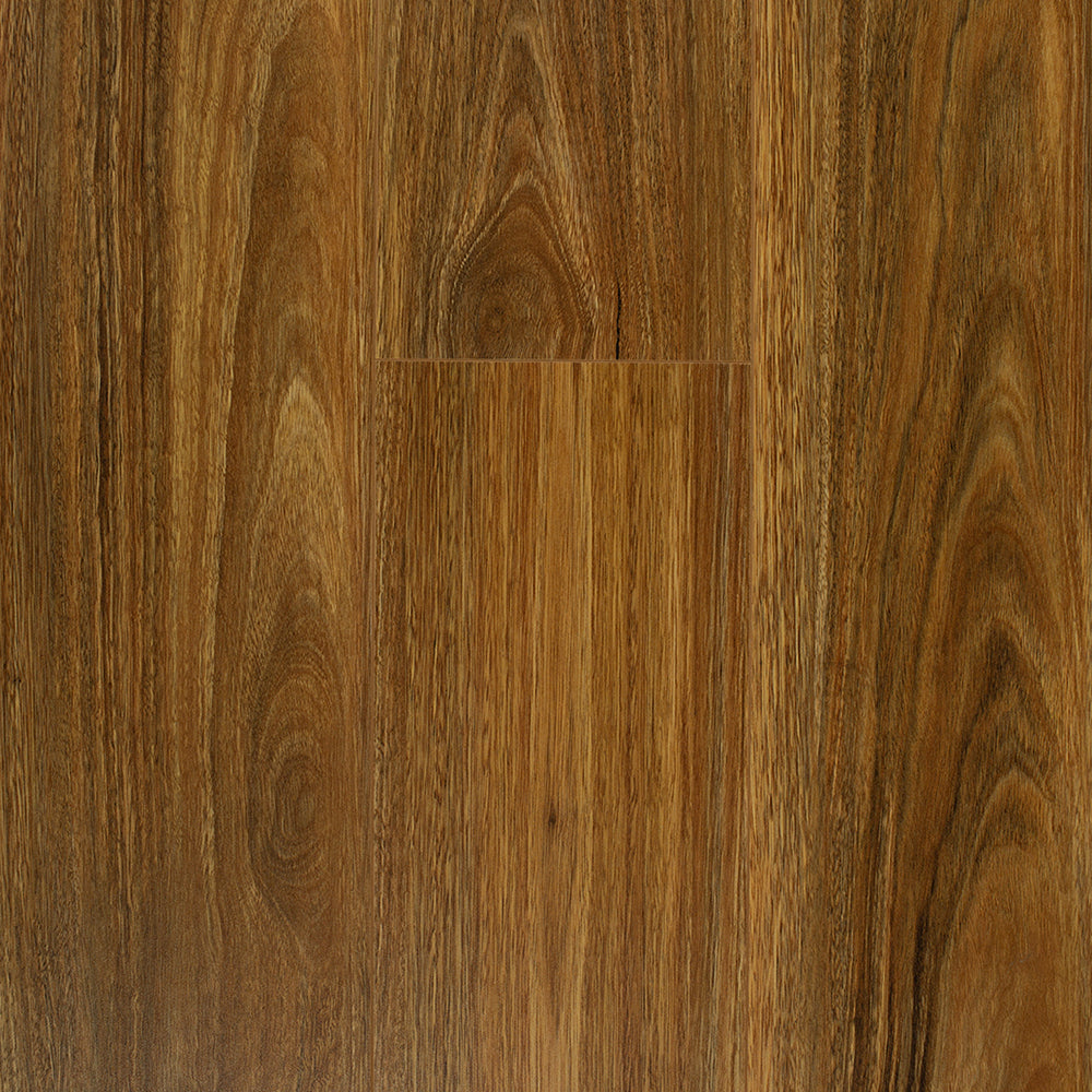 Adorn SPOTTED GUM