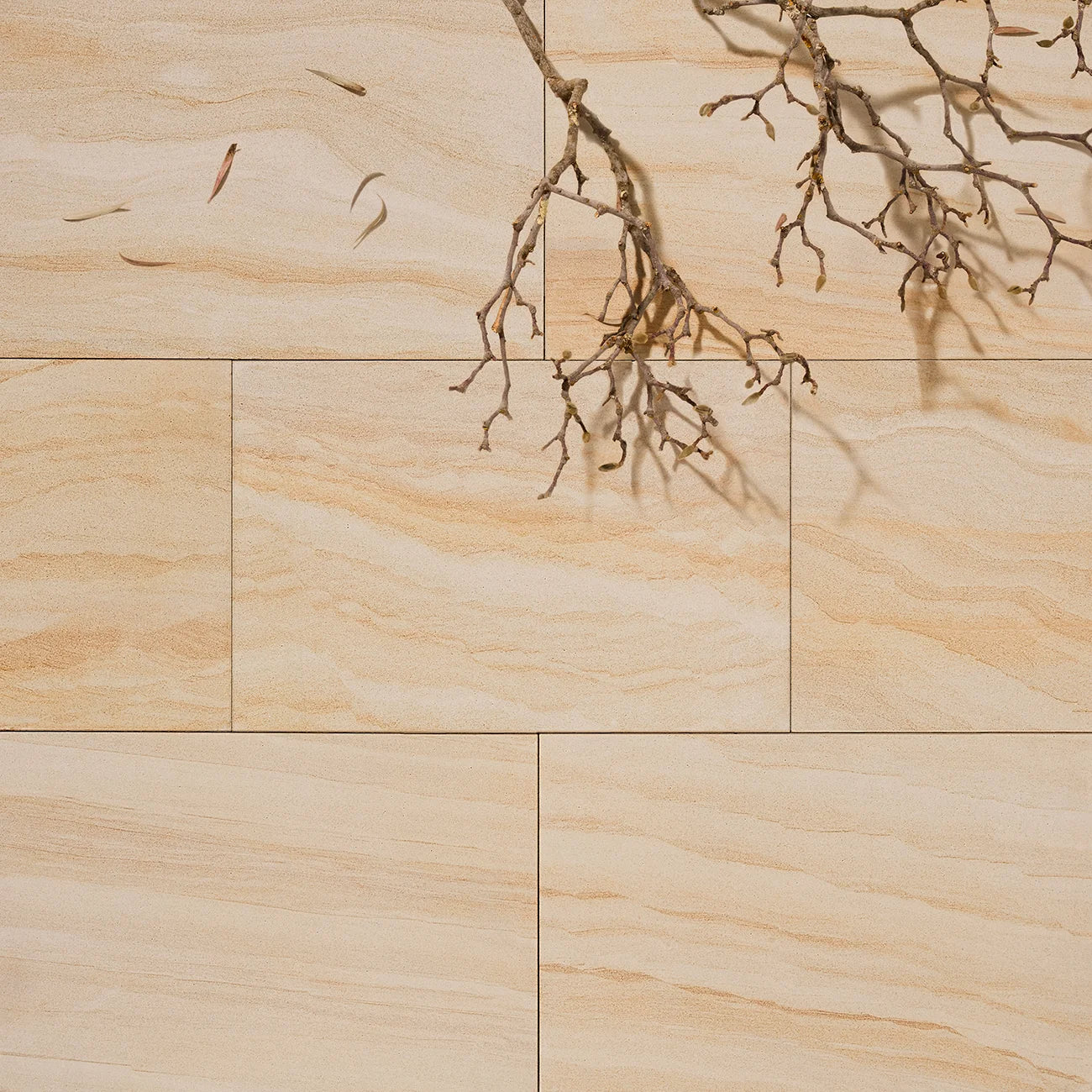Teakwood Sandstone